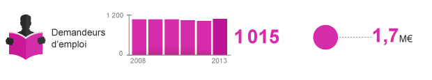 1015 Demandeurs d’emplois par an en 2013 avec un budget de 1,7 millions d’euros.