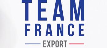 Logo Team France Export 