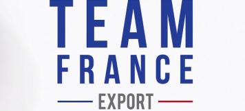 Logo Team France Export 
