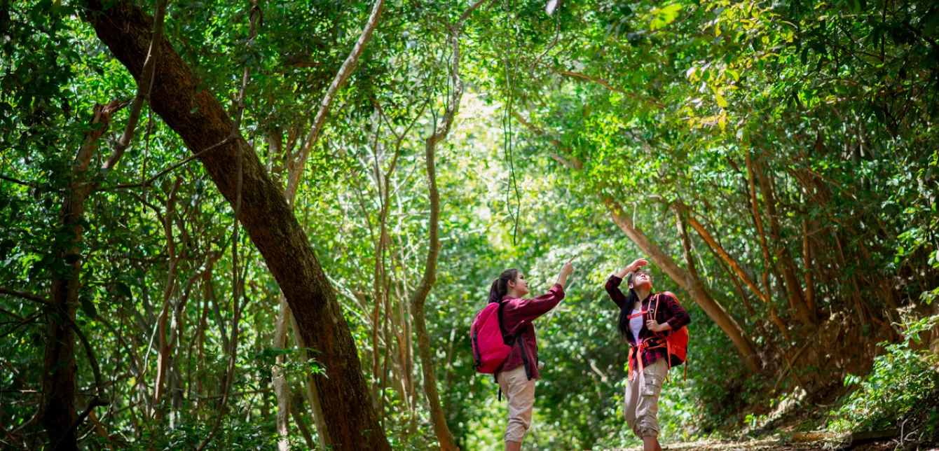 Randonnée dans une forêt 