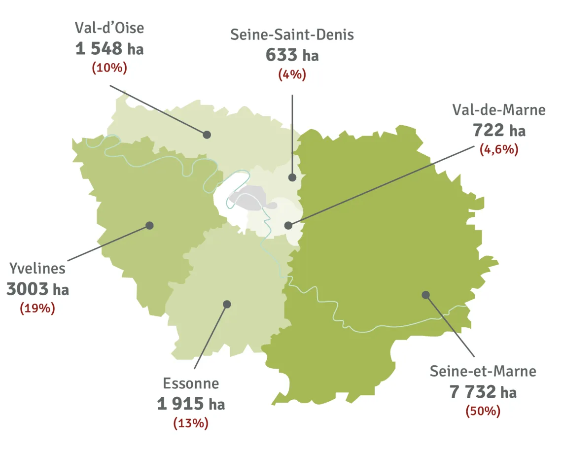 Le patrimoine naturel d'Île-de-France Nature est à 50% dans le 77, à 19% dans le 78, à 13% dans le 91, à 10% dans le 95, à 4% dans le 93 et à 4% dans le 94